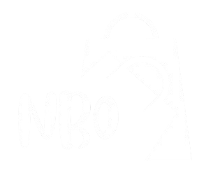 Footer Logo